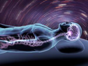 Circadian rhythm